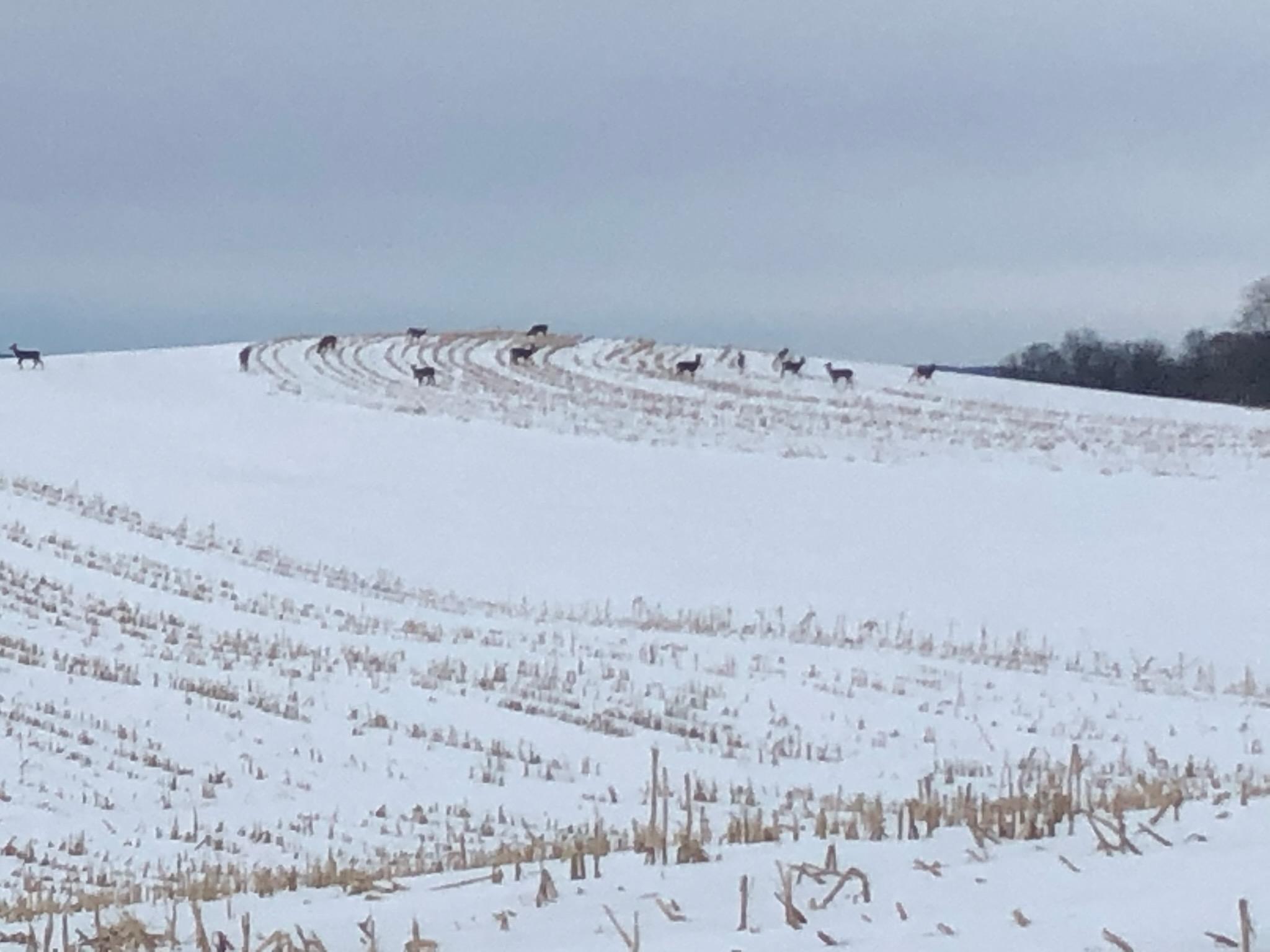 28983 320th Ave Way Red Wing, MN 55066 - Photo 133 of 136