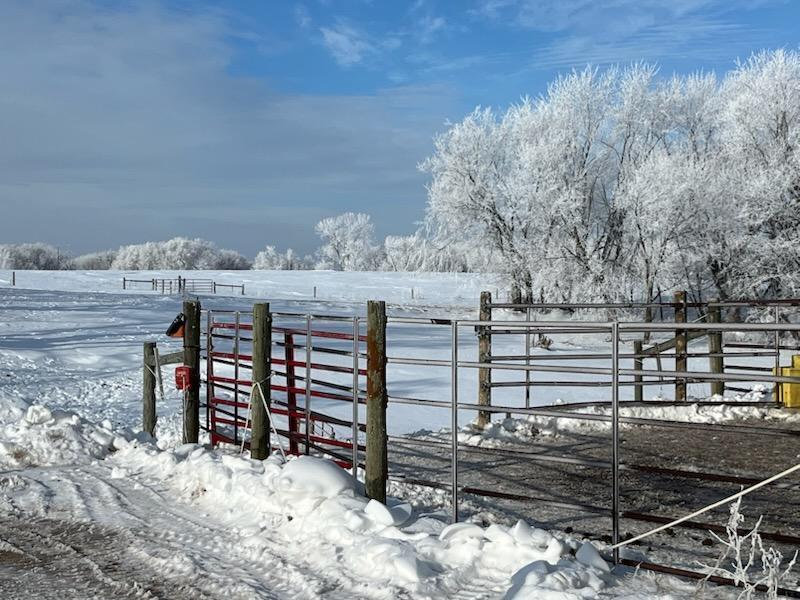 28983 320th Ave Way Red Wing, MN 55066 - Photo 134 of 136
