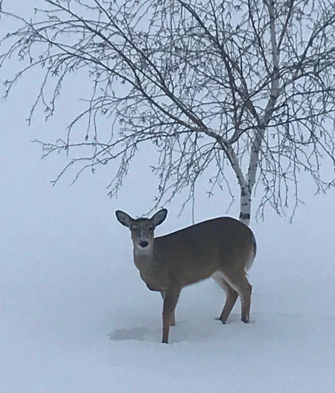 28983 320th Ave Way Red Wing, MN 55066 - Photo 136 of 136