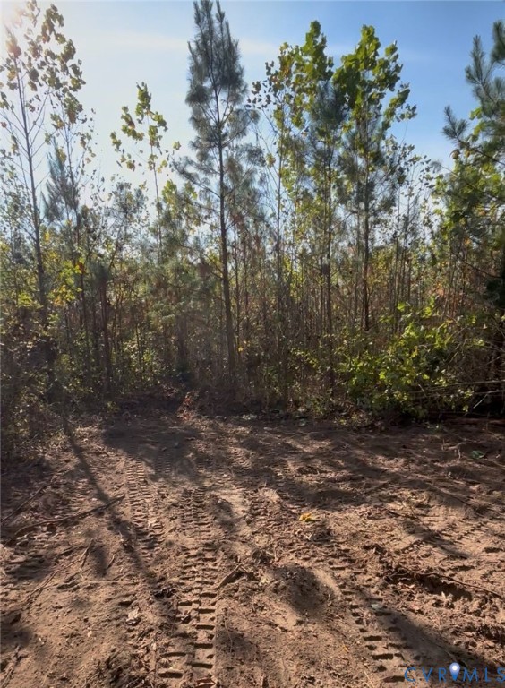 0 Pryor Road Goochland, VA 23063 - Photo 12 of 21