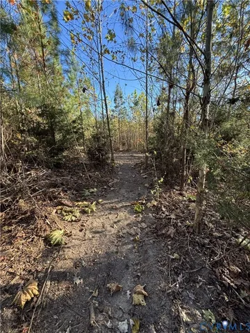 $135,000 | 0 Pryor Road, Goochland, VA 23063