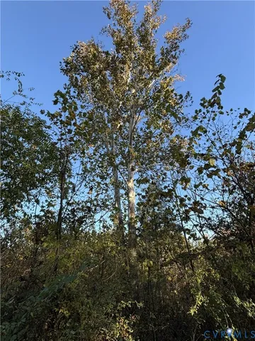 $135,000 | 0 Pryor Road, Goochland, VA 23063