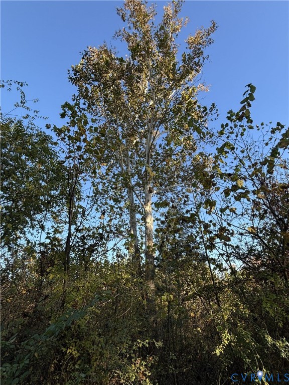 0 Pryor Road Goochland, VA 23063 - Photo 18 of 21