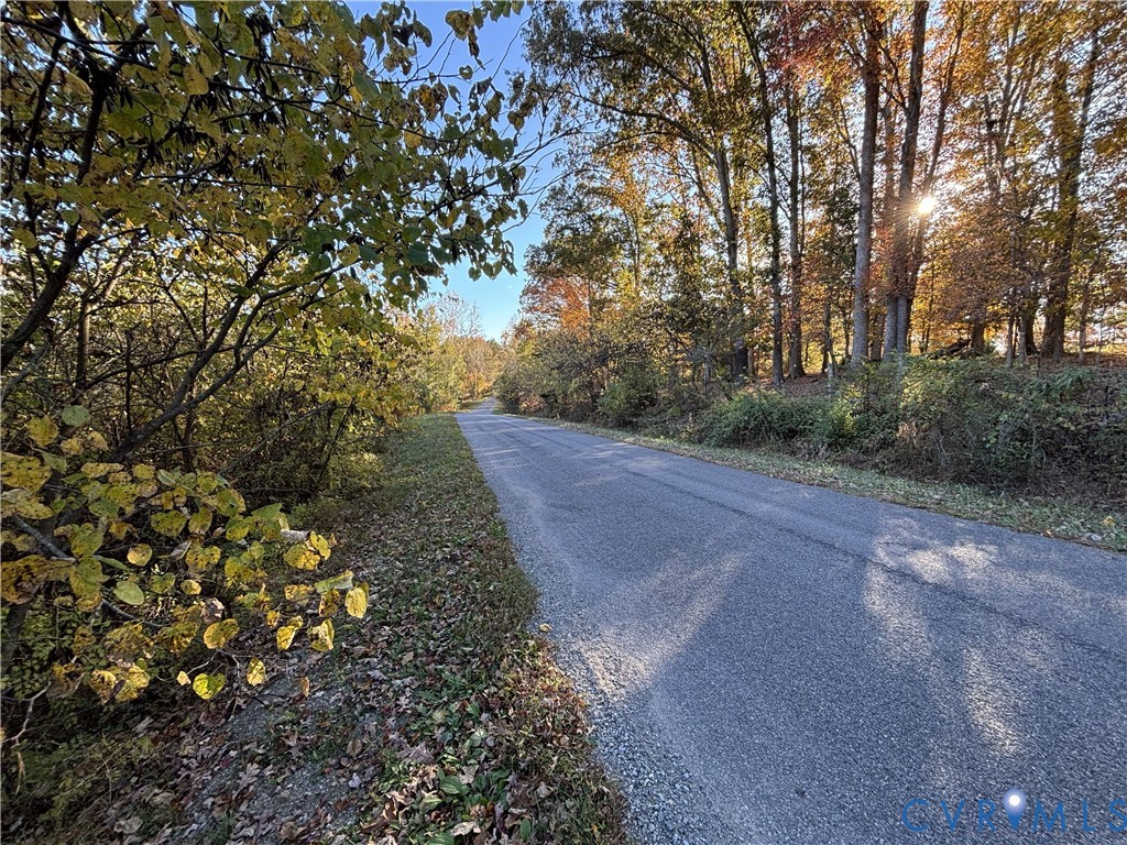 0 Pryor Road Goochland, VA 23063 - Photo 19 of 21