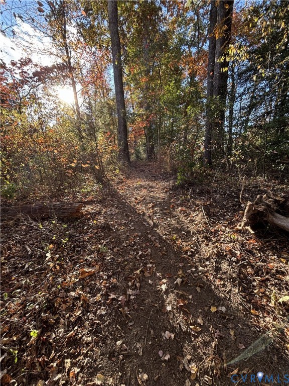 0 Pryor Road Goochland, VA 23063 - Photo 20 of 21