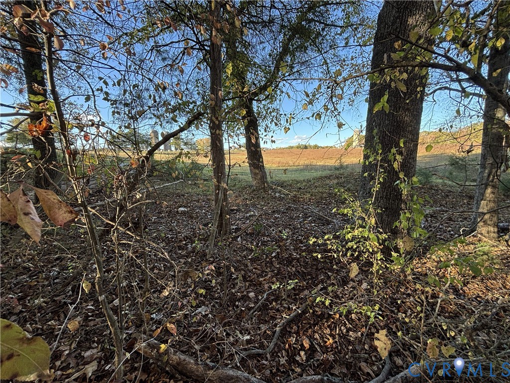 0 Pryor Road Goochland, VA 23063 - Photo 21 of 21
