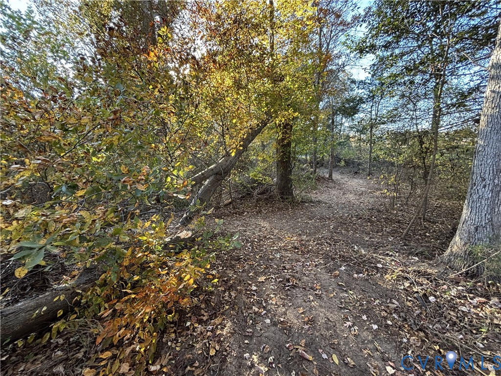 0 Pryor Road Goochland, VA 23063 - Photo 5 of 21