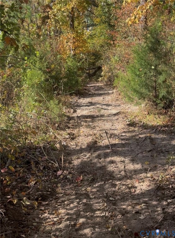 0 Pryor Road Goochland, VA 23063 - Photo 6 of 21