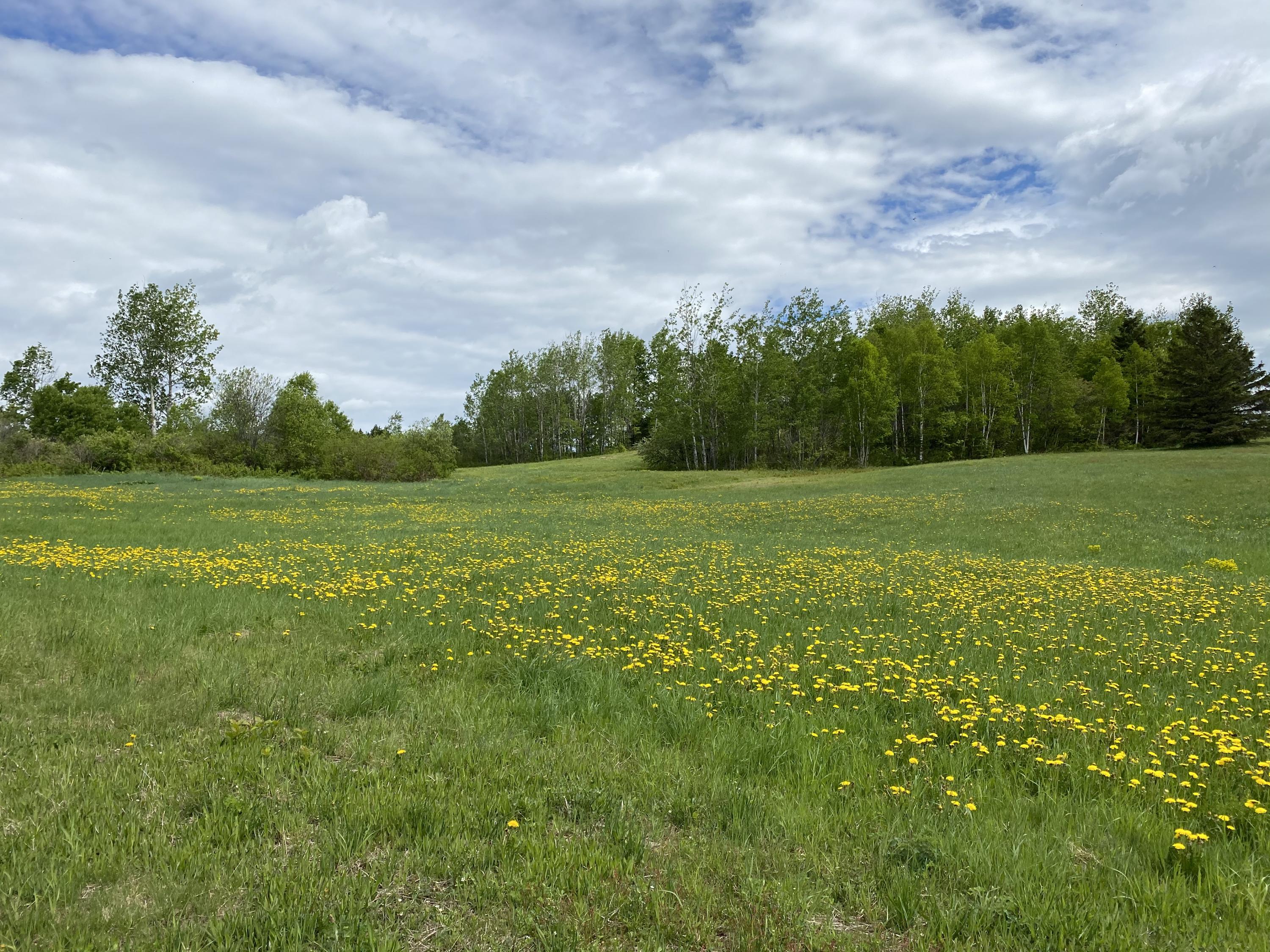 320 Parent Road Van Buren, ME 04785 - Photo 14 of 17 IMG_3673