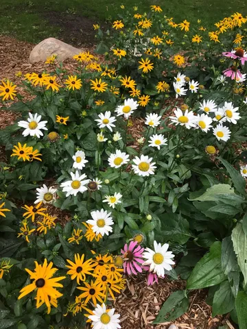 $1,350,000 | 197 Broadwater Lane Northeast, Longville, MN 56655