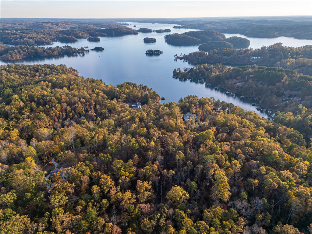 147 South Falls Road Sunset, SC 29685 - Photo 13 of 20