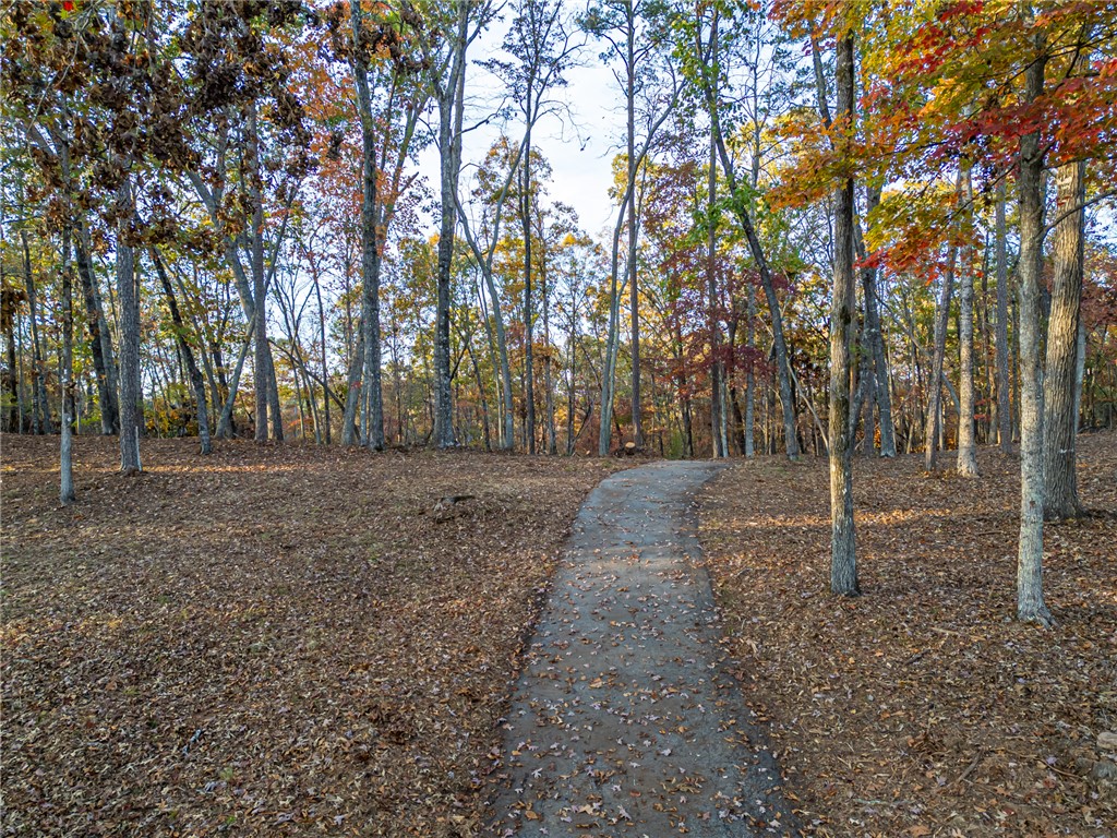 147 South Falls Road Sunset, SC 29685 - Photo 2 of 20