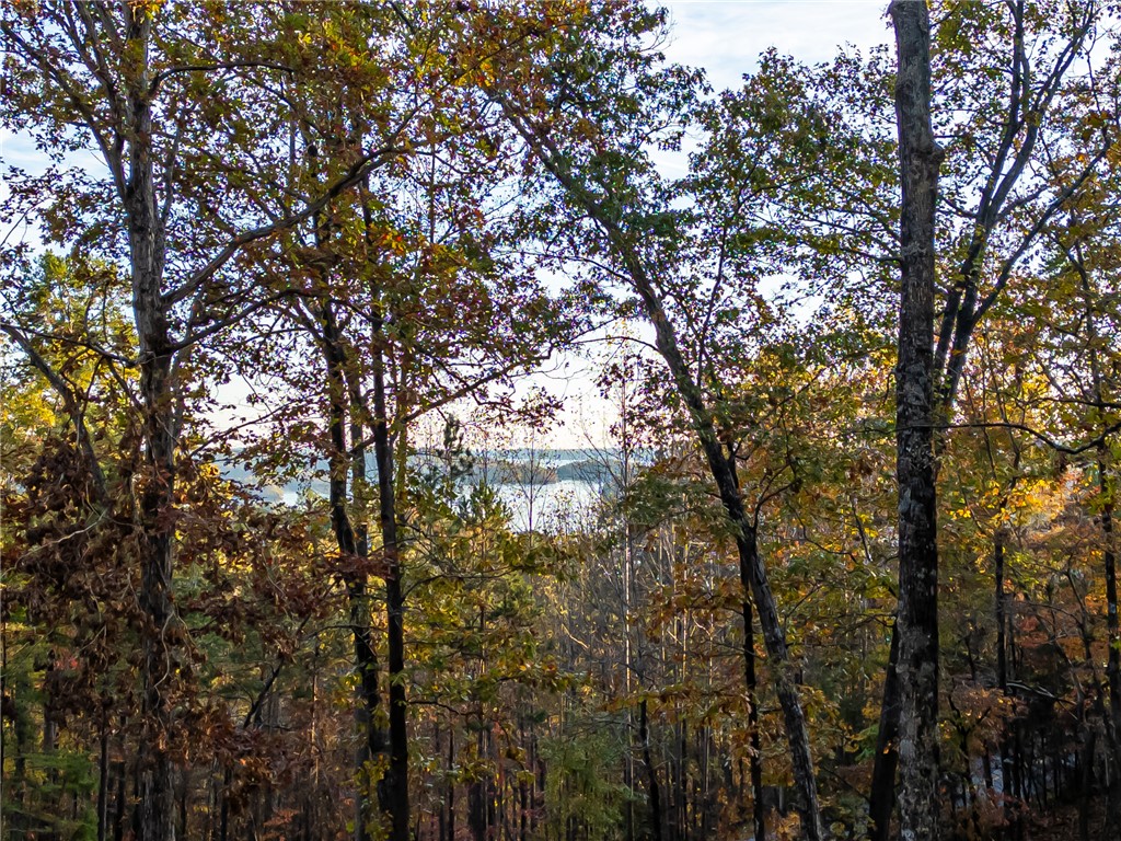 147 South Falls Road Sunset, SC 29685 - Photo 4 of 20