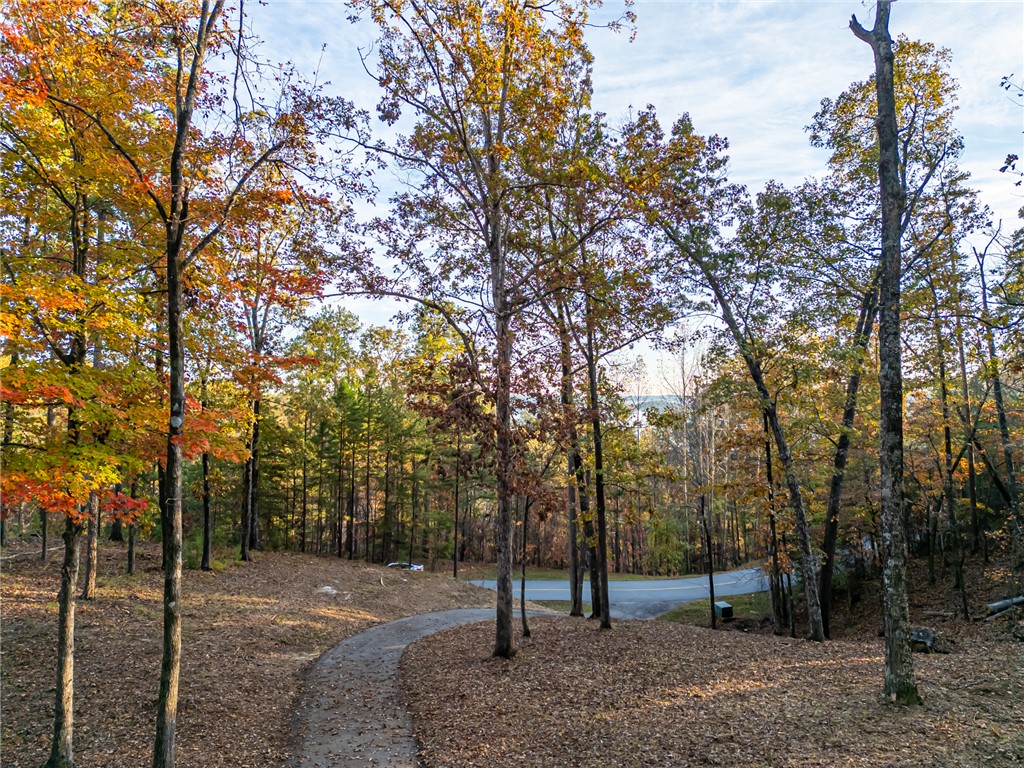 147 South Falls Road Sunset, SC 29685 - Photo 7 of 20