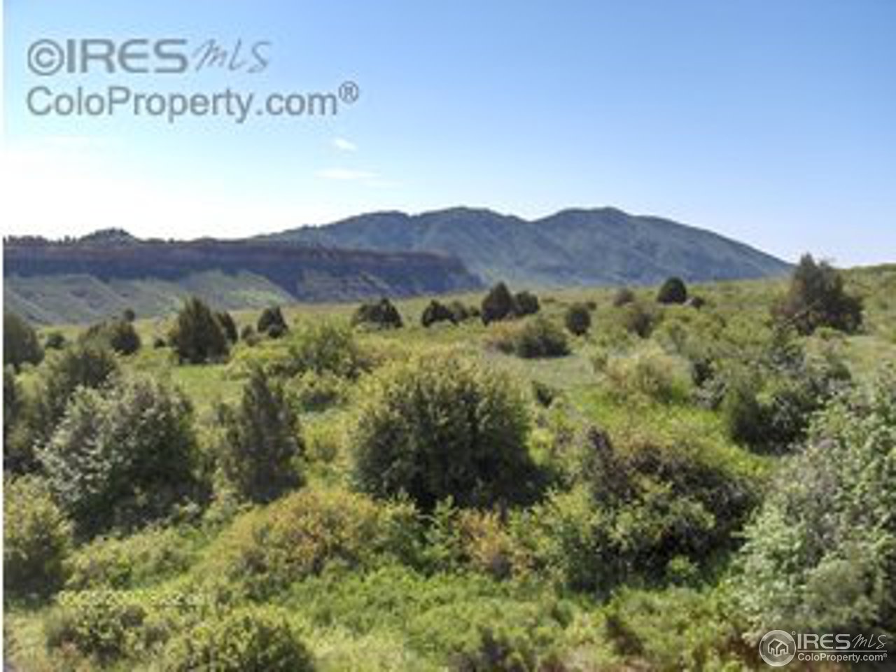 13040 Swanson Ranch Road Loveland, CO 80538 - Photo 5 of 8 Gallery Image 5