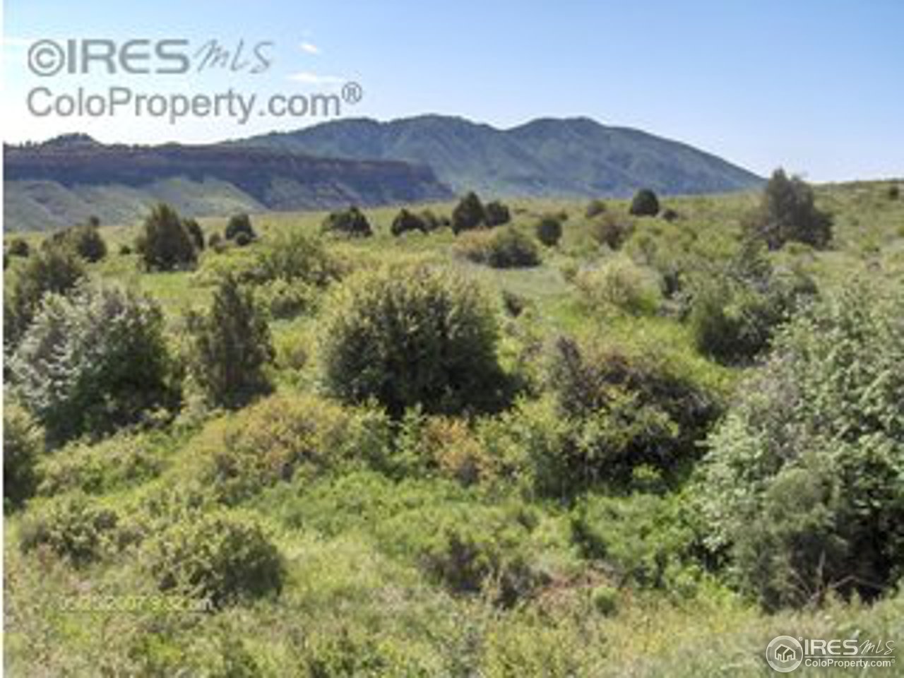 13040 Swanson Ranch Road Loveland, CO 80538 - Photo 7 of 8 Gallery Image 7