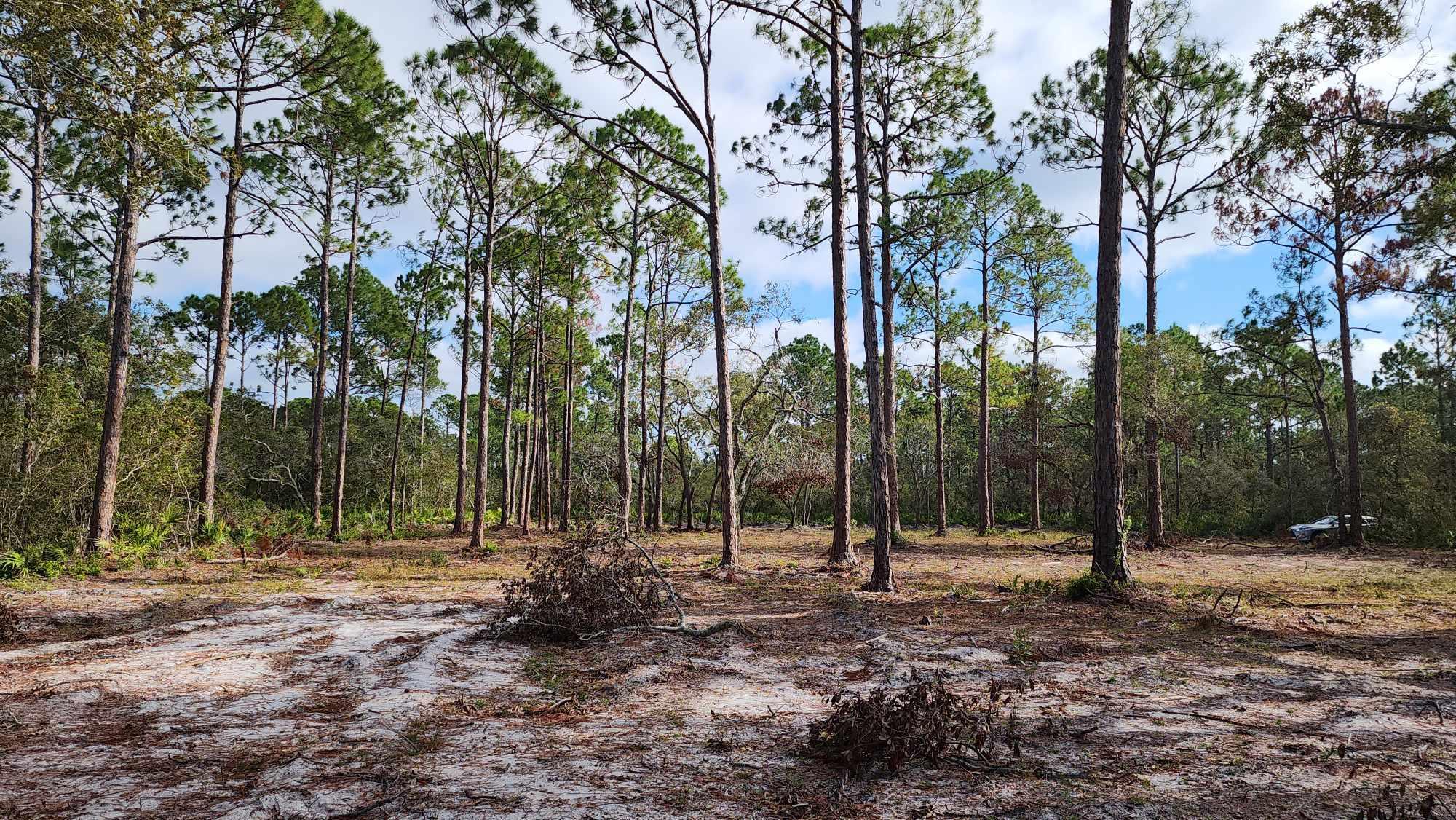 Tbd Yates Creek Road, Unit 1 Perry, FL 32348 - Photo 12 of 17