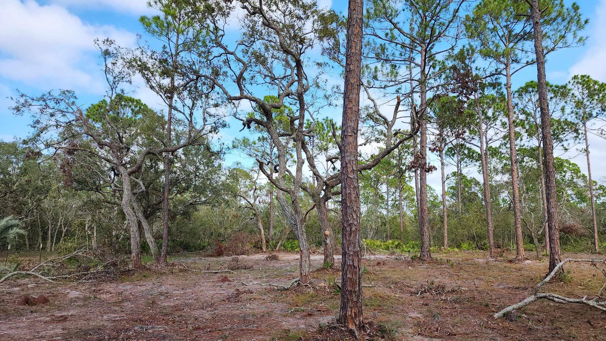 Tbd Yates Creek Road, Unit 1 Perry, FL 32348 - Photo 16 of 17