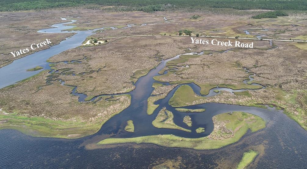 Tbd Yates Creek Road, Unit 1 Perry, FL 32348 - Photo 5 of 17