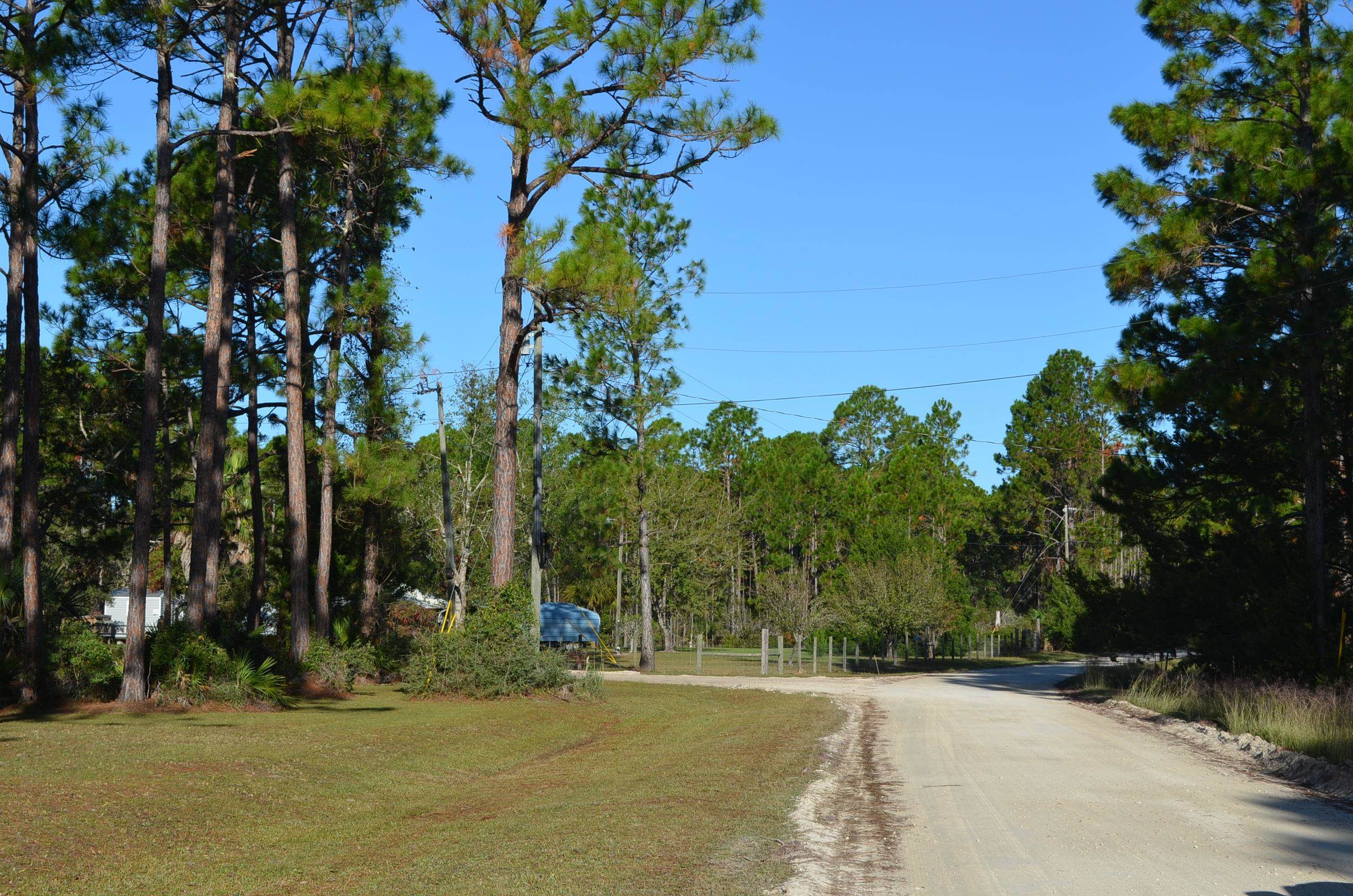 Tbd Yates Creek Road, Unit 1 Perry, FL 32348 - Photo 7 of 17
