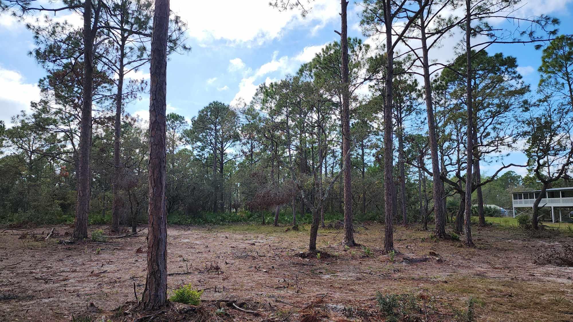 Tbd Yates Creek Road, Unit 1 Perry, FL 32348 - Photo 8 of 17