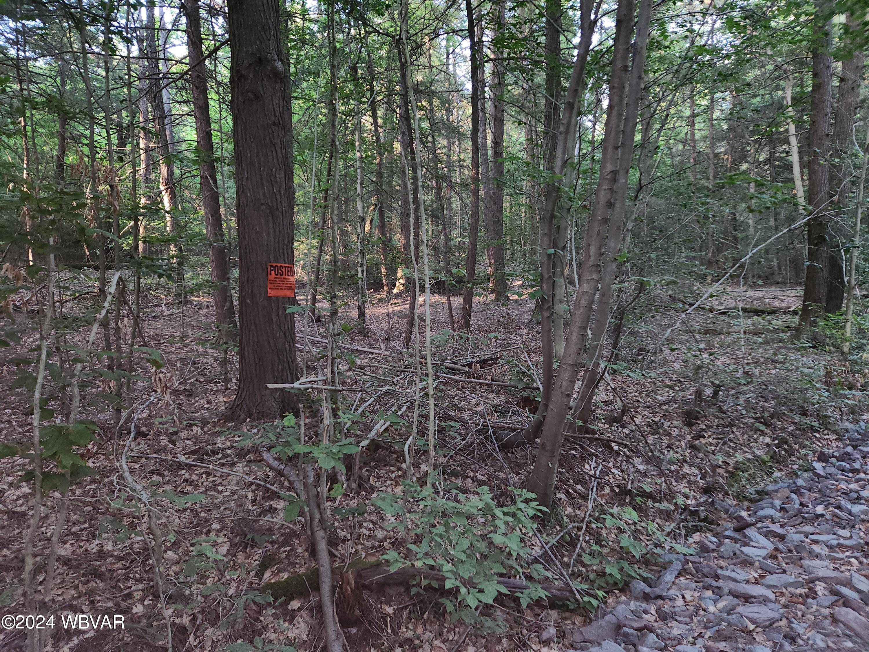 Eagle Rock Road Dushore, PA 18614 - Photo 2 of 6 20240617_191033