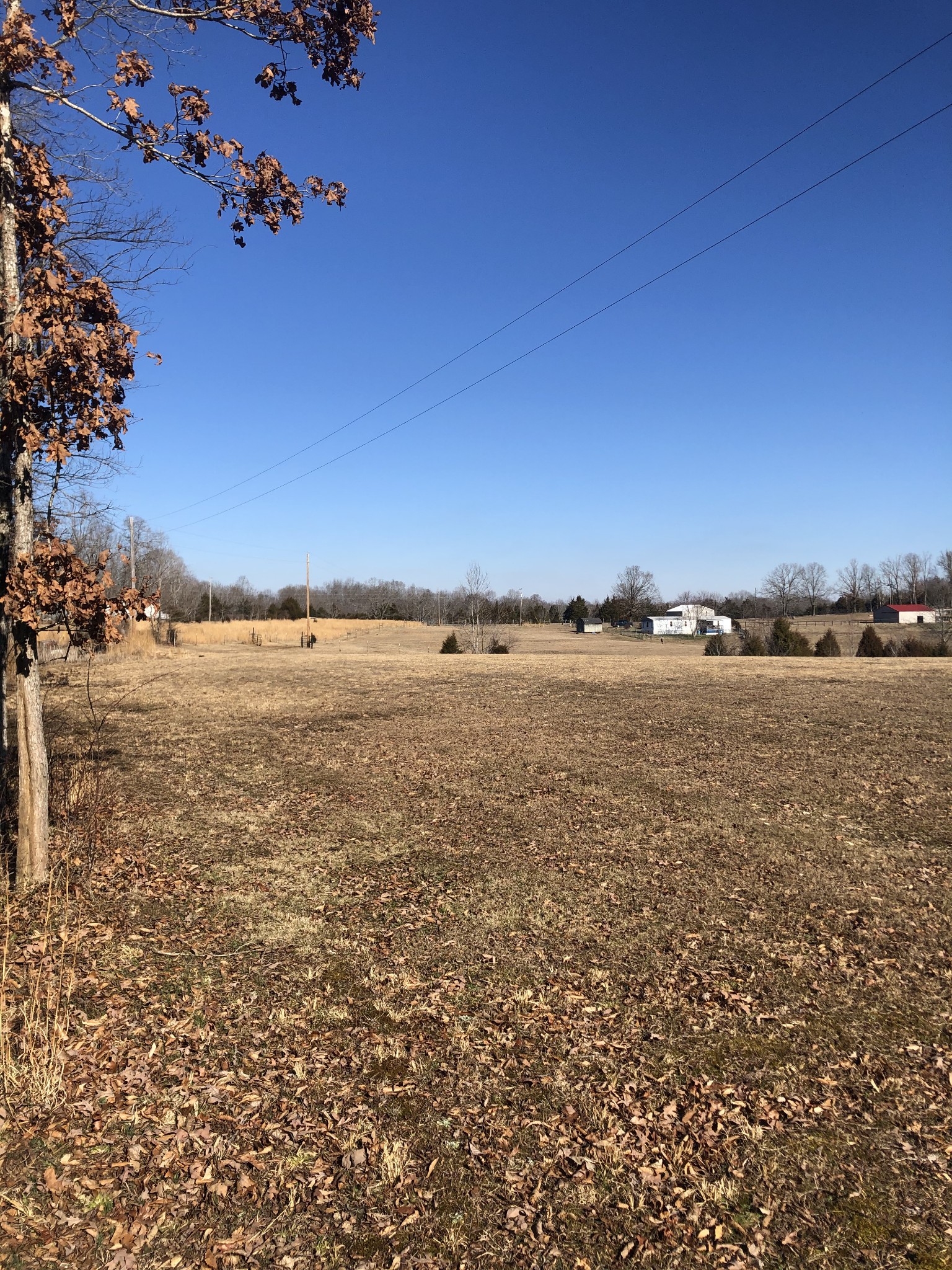750 Coaling Road Charlotte, TN 37036 - Photo 4 of 9 Gallery Image 4