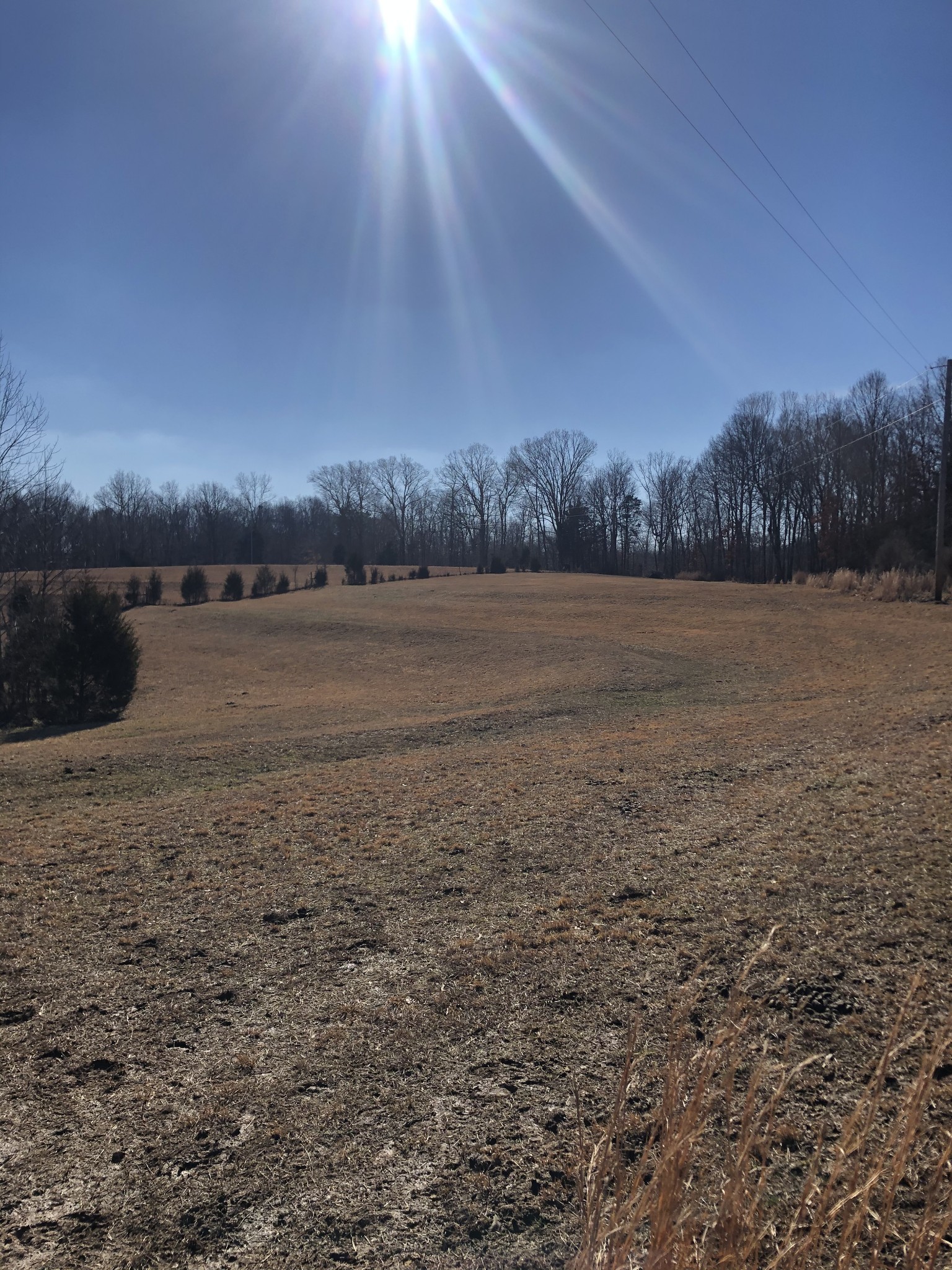 750 Coaling Road Charlotte, TN 37036 - Photo 7 of 9 Gallery Image 7