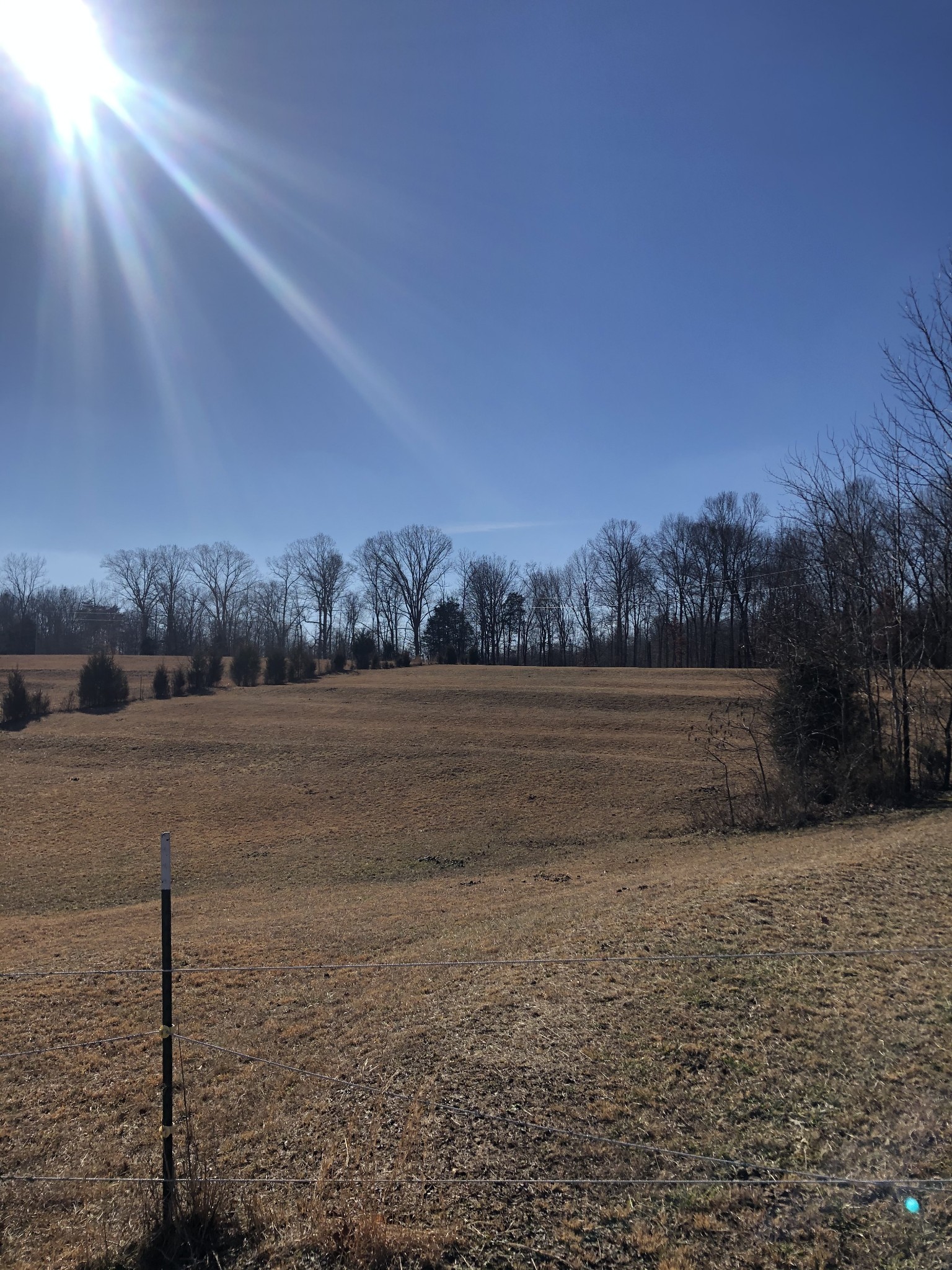 750 Coaling Road Charlotte, TN 37036 - Photo 8 of 9 Gallery Image 8