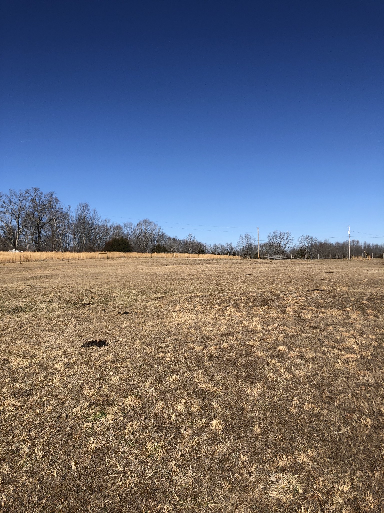 750 Coaling Road Charlotte, TN 37036 - Photo 9 of 9 Gallery Image 9