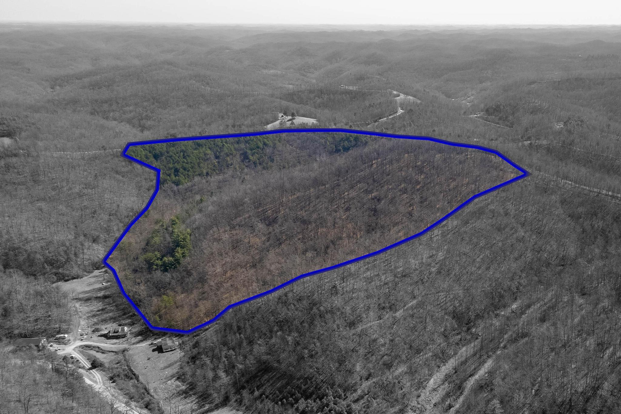 0 Peddler Gap Road West Liberty, KY 41472 - Photo 9 of 13 DJI_20260301004929_0024_D