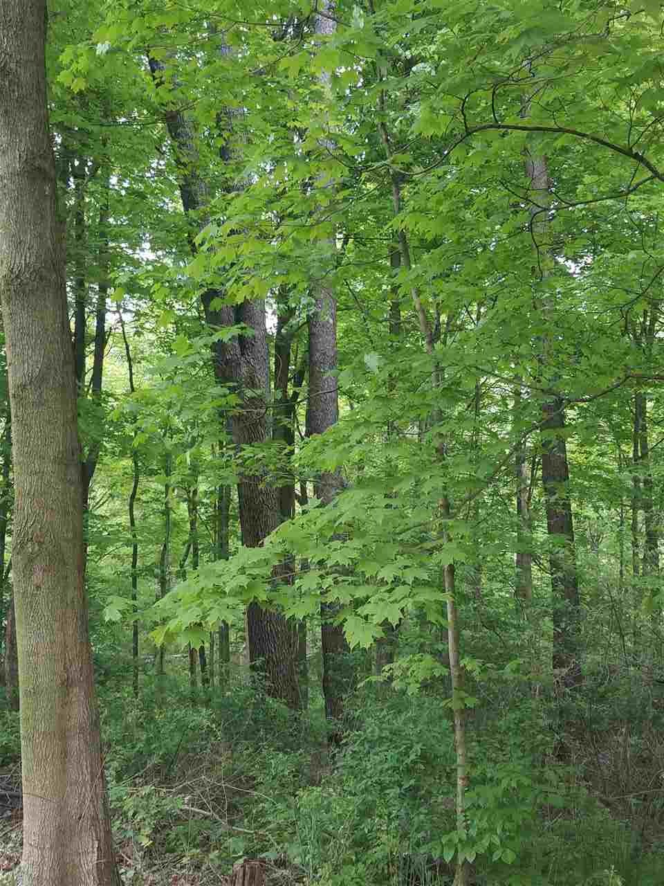 3166 North Mexico Road Peru, IN 46970 - Photo 18 of 20 Gallery Image 18