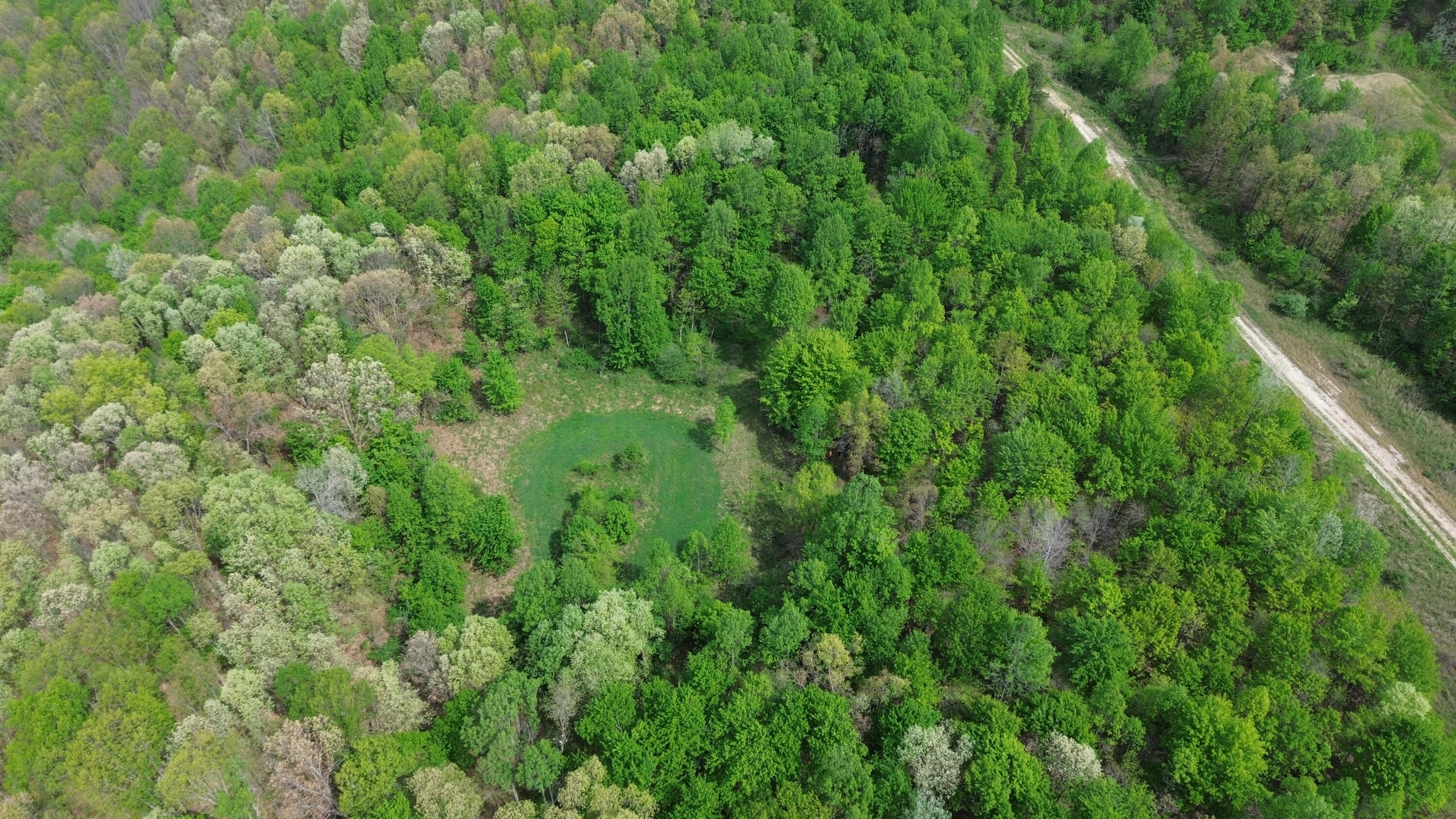 1271 A Tunnel Ridge Road Grayson, KY 41143 - Photo 89 of 134 Trees