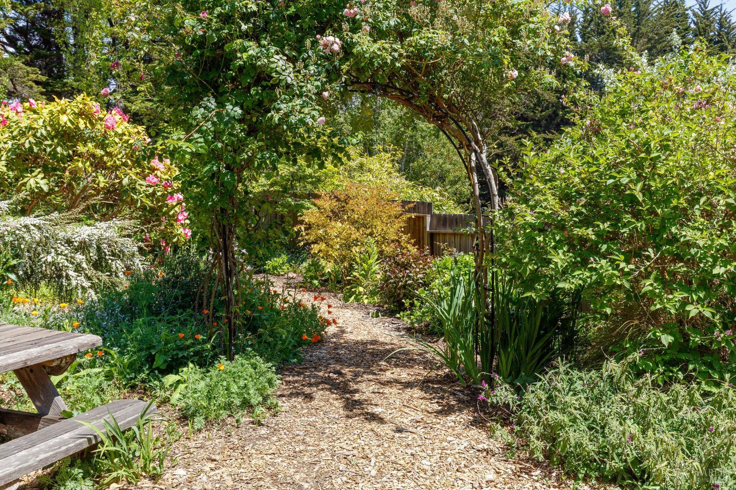 355 Chinquapin Lane The Sea Ranch, CA 95497 - Photo 23 of 31 a view of a yard with plants and large trees