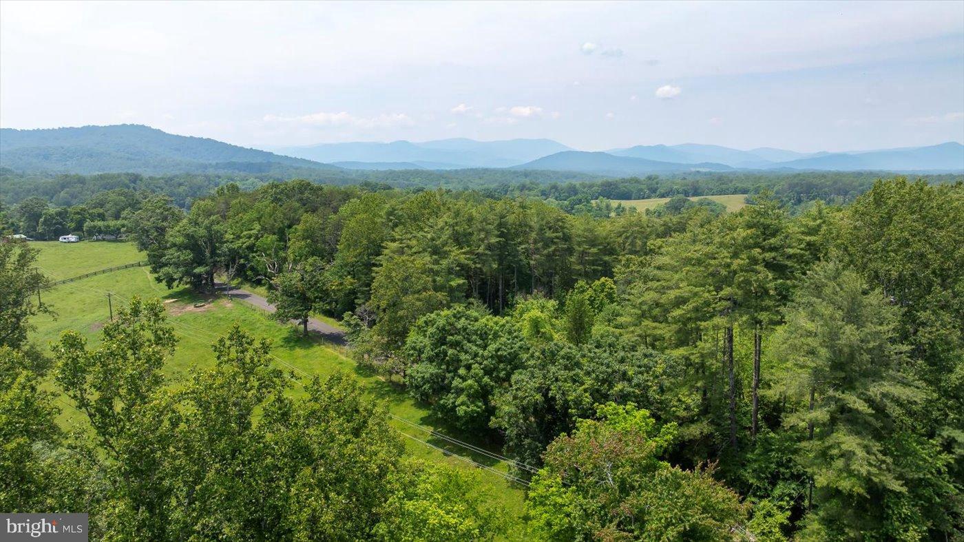 274 A Aaron Mountain Road Castleton, VA 22716 - Photo 48 of 76 Lush greenery meets serene mountain vistas.