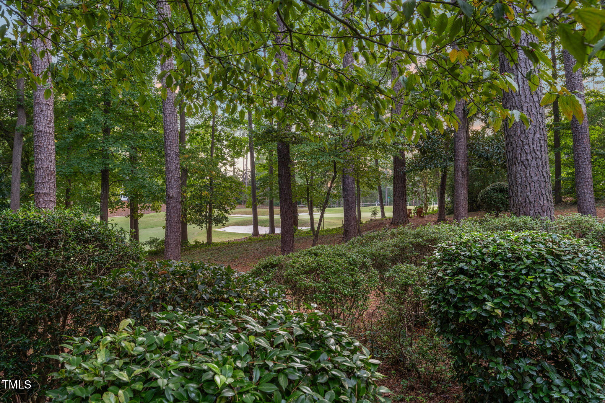 3317 Devon Road Durham, NC 27707 - Photo 47 of 51 71-web-or-mls-untitled-14 (3)