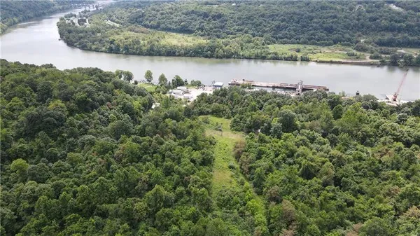 a view of a lake with a mountain and trees in the background