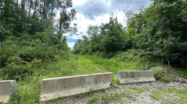 a view of backyard with green space