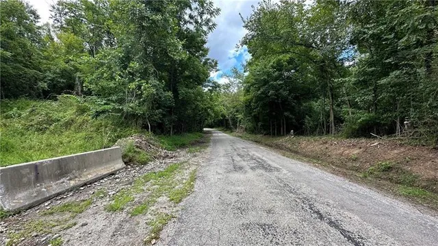 a view of a dirt road with trees in the background