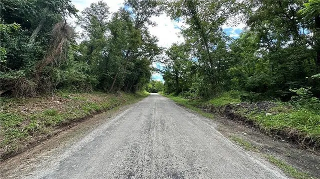 a view of a lush green forest