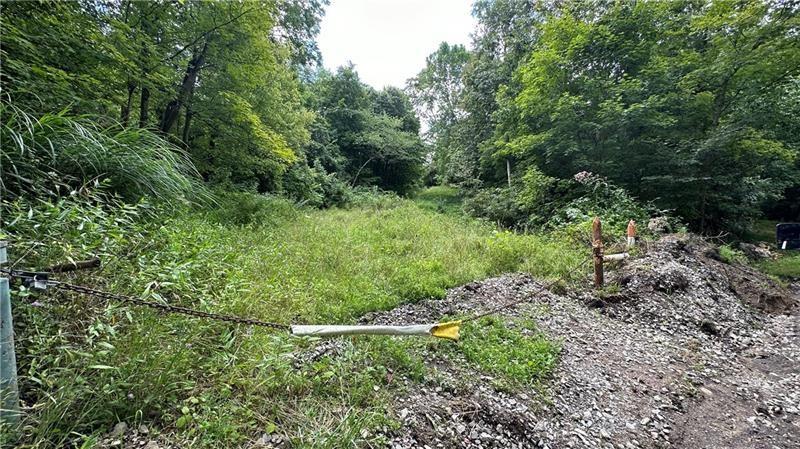 88 Low Hill Road Denbo, PA 15417 - Photo 14 of 17 a view of a lush green forest