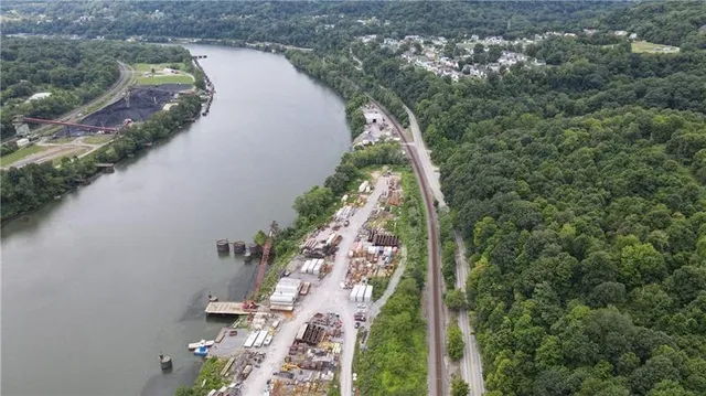 a view of a backyard