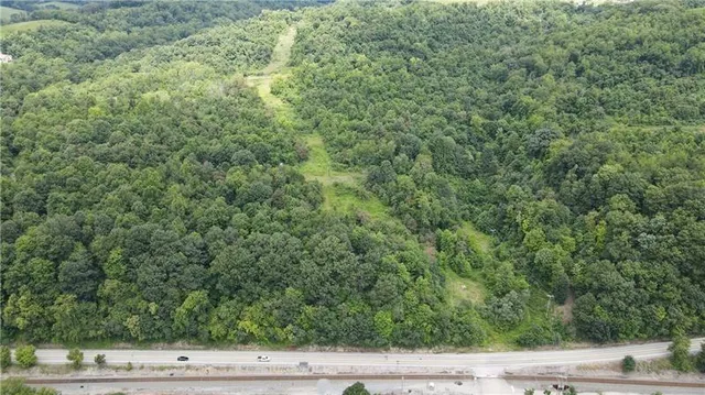 an aerial view of forest