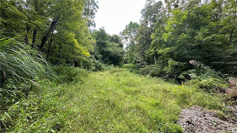 88 Low Hill Road Denbo, PA 15417 - Photo 10 of 17 a view of a lush green forest with large trees