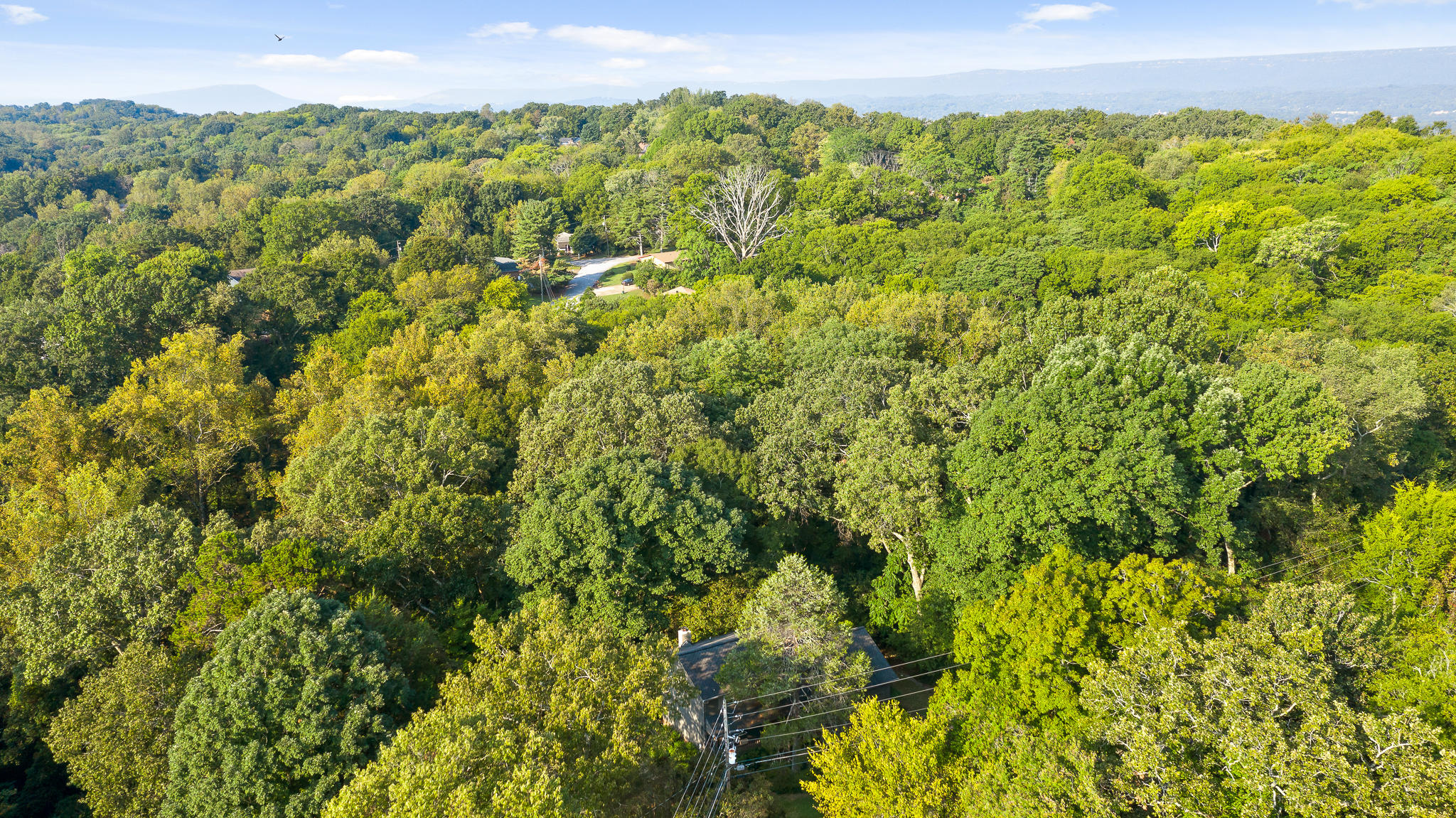 6768 Big Ridge Road Hixson, TN 37343 - Photo 40 of 45 Big Ridge2-9
