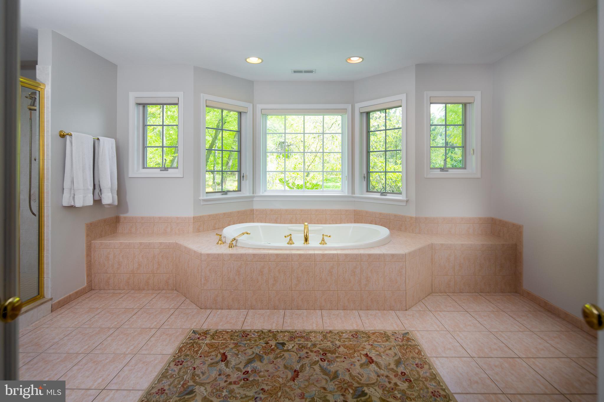 3785 Secondwoods Road Doylestown, PA 18902 - Photo 22 of 41 Master Bath