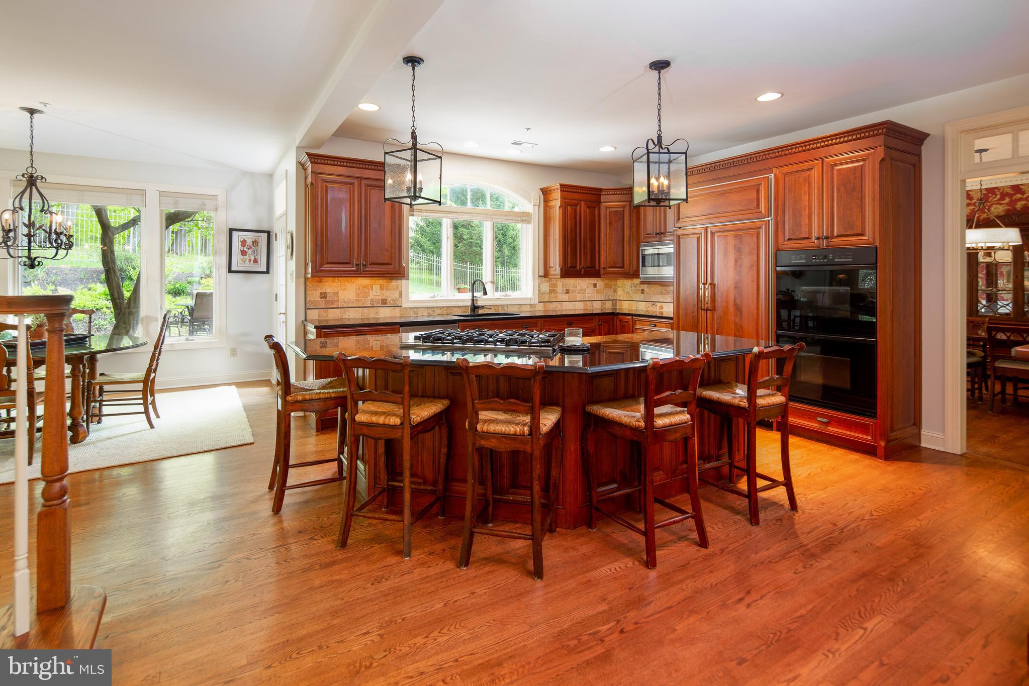 3785 Secondwoods Road Doylestown, PA 18902 - Photo 8 of 41 Kitchen