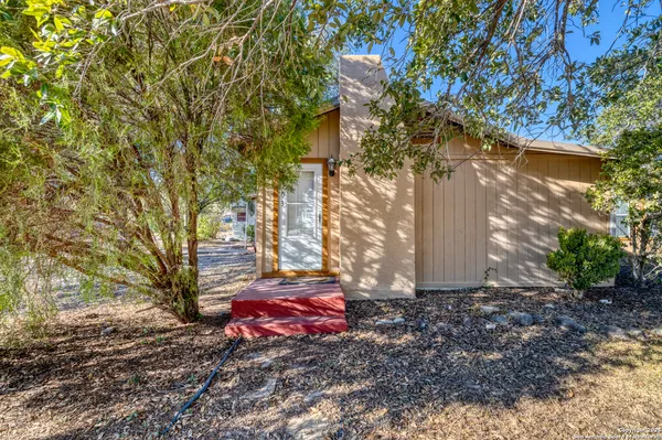 a view of a yard with plants and trees
