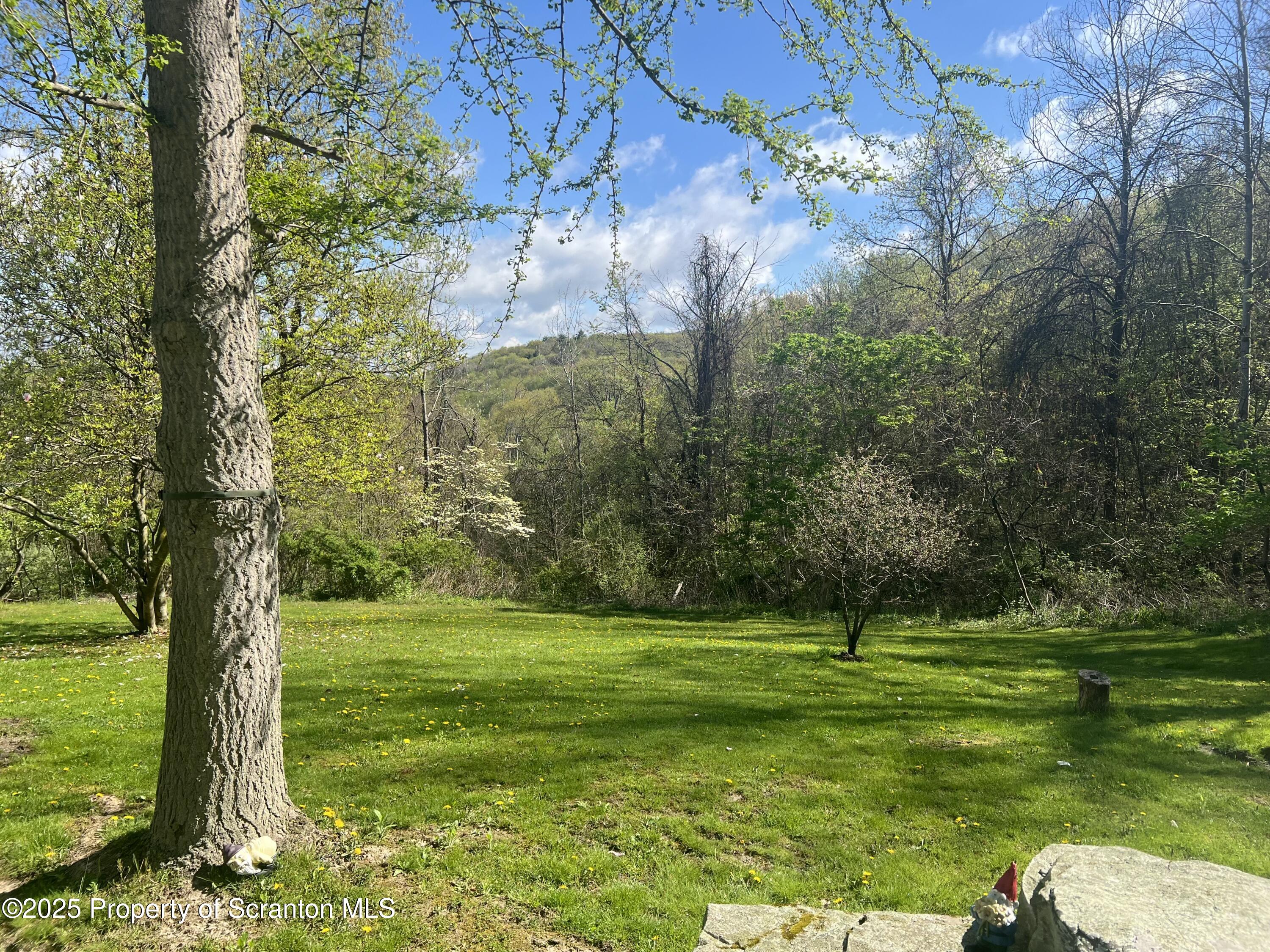 2608 Ransom Road Clarks Summit, PA 18411 - Photo 57 of 72 IMG_4723