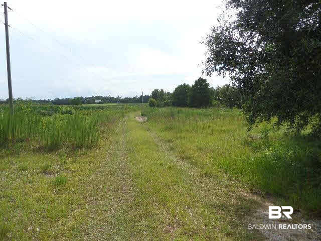12423 County Road 87 Elberta, AL 36530 - Photo 3 of 38